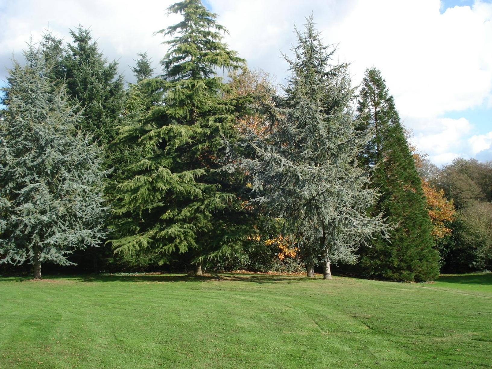 Gite de Cohignac Berric Esterno foto